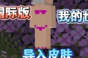 我的世界中如何制作皮肤？