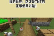 手机版我的世界引爆tnt的正确方法是什么？