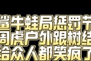 白鲨CF牛蛙局的费用是多少？
