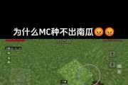 我的世界中南瓜的获取方式是什么？