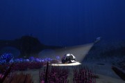 《深海迷航礁背鱼抓取攻略》（用美丽水世界礁背鱼属性来抓取更多的深海迷航礁背鱼）