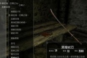 《以上古卷轴5重制版》战友团拿起武器攻略（一起征服天际之地）