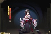 阴阳师皮肤代砍功能使用方法是什么？