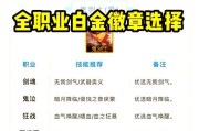 dnf武器徽章选择标准是什么？