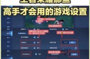 如何提升王者荣耀的专业技能？