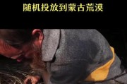 《探险游戏中如何高效刮取荒野树皮的技巧》（探索）