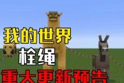 我的世界中绳子的制作步骤是什么？