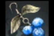 《循环连接》游戏珍珠物品使用说明（探索珍珠的神秘力量）