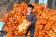 校花的贴身高手3D冲脉系统玩法指南？冲脉系统详解是什么？