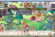 彩虹岛达到255级后如何继续升级？