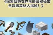 疯狂世界工具在Minecraft中的使用方法是什么？