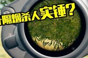 绝地求生中树叶子过多如何处理？