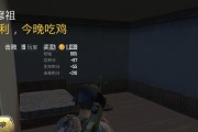 智宏安装教程在绝地求生中如何应用？