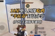 和平精英（战术、装备、合作）
