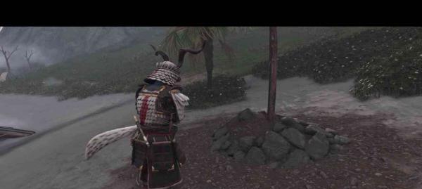 如何穿着得体地玩对马岛之魂（掌握合适的服装与游戏玩法）