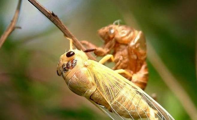 《河洛群侠传》铁砂掌残页位置攻略（寻找铁沙掌支线）