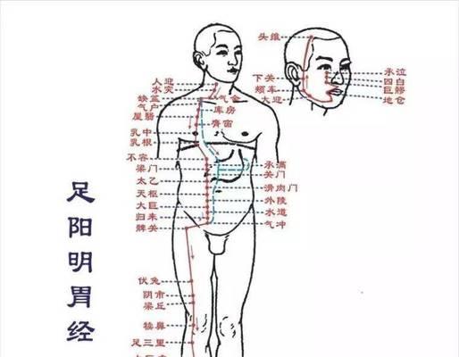 校花的贴身高手3D冲脉系统玩法指南？冲脉系统详解是什么？