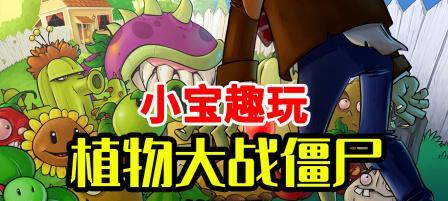 小宝安装过程中的常见问题有哪些？