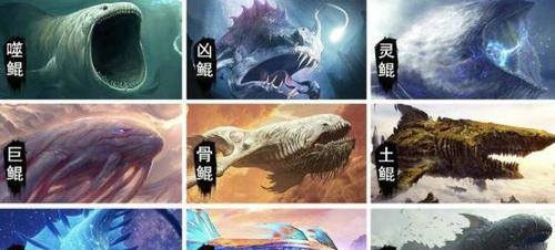 魔域口袋四象神力的使用方法是什么？
