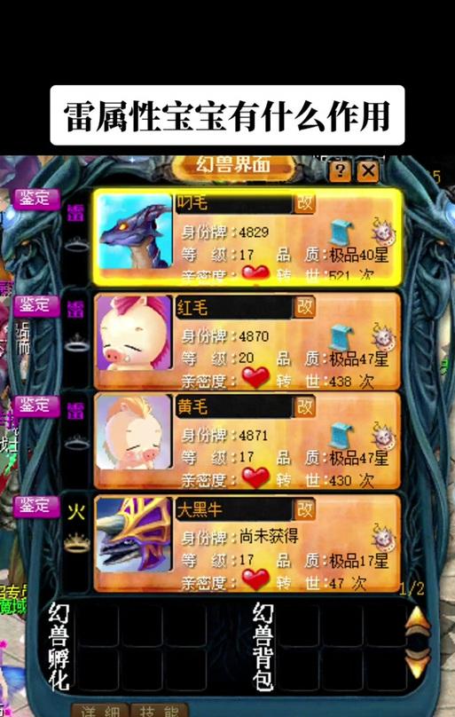 魔域带两只猫时第三只宠物推荐是什么？选择宠物的策略是什么？