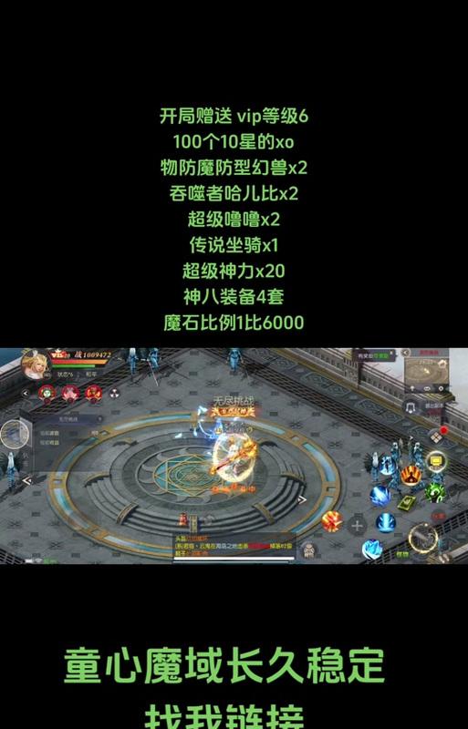 魔域带两只猫时第三只宠物推荐是什么？选择宠物的策略是什么？