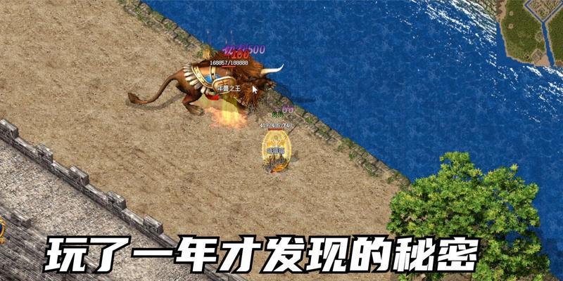 热血传奇中如何查看比奇等级最高玩家？