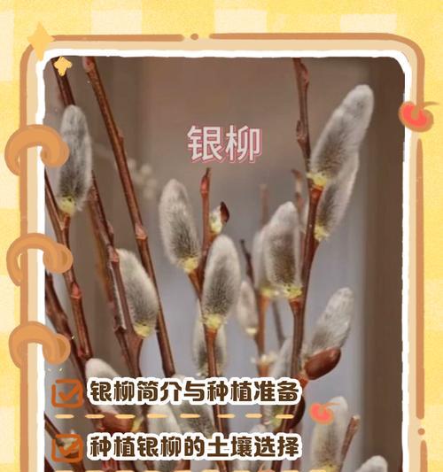 我的世界柳树种植步骤是什么？柳树种植有哪些技巧？