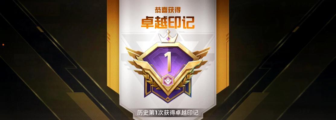 和平精英（战术、装备、合作）