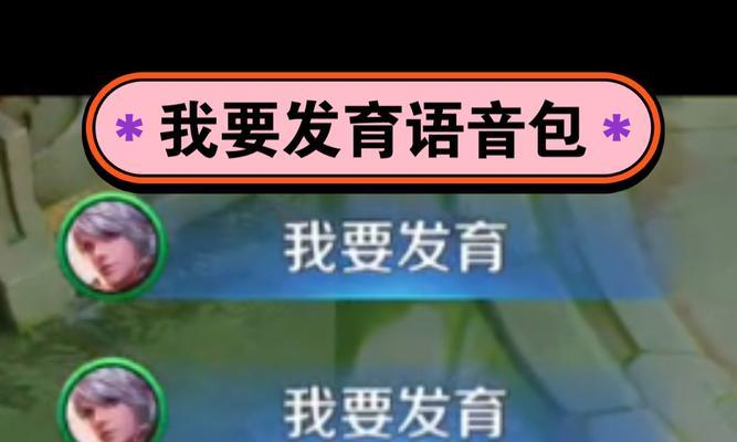 王者荣耀中如何进行语音聊天？语音功能如何开启？