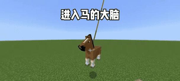 我的世界马繁殖方法是什么？如何快速获得小马？