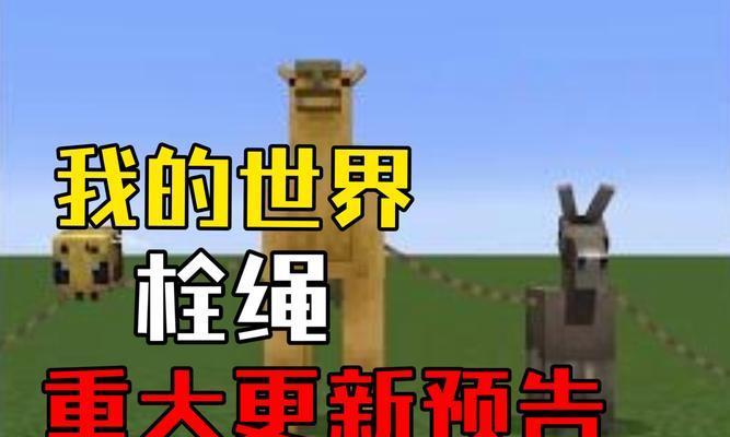 我的世界中绳子的制作步骤是什么？