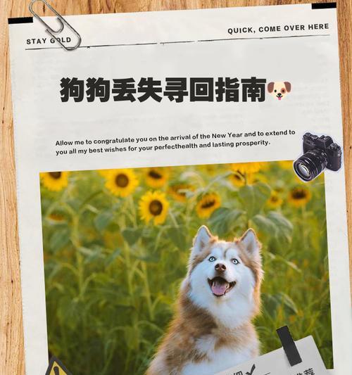 我的世界丢失的狗狗如何找回？
